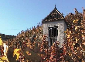 ドメーヌ ルネ ロスタン | 株式会社ミレジム 